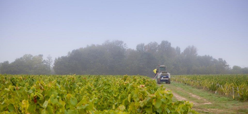 Domaine Eric Chevalier